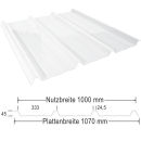 Lichtplatte Polycarbonat 45/1000 Dach Stärke 1 mm Breite 1,07 m glasklar