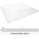 Stegplatte Polycarbonat 16 mm 980 mm breit glasklar X Struktur 3,50 m